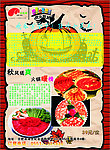小尾羊