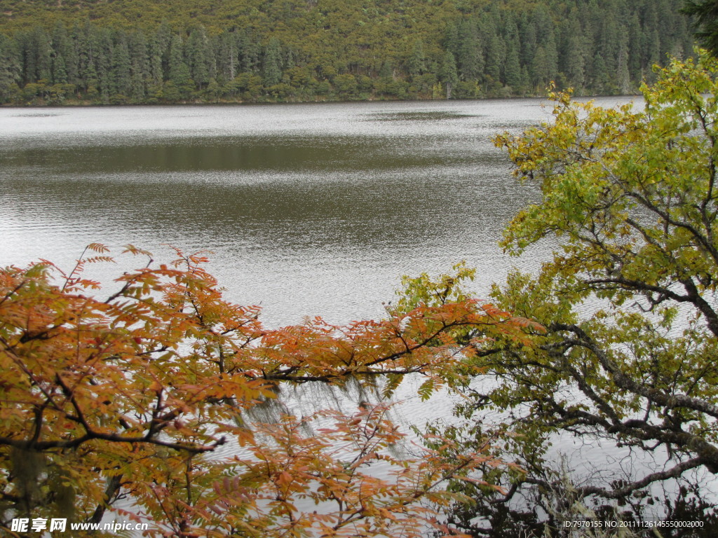 山水湖泊森林