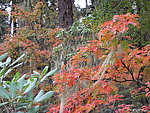 香格里拉木格措风景