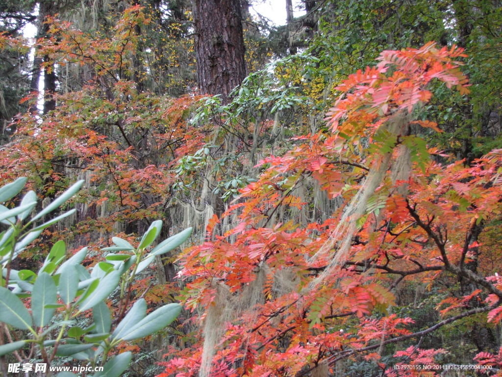 香格里拉木格措风景