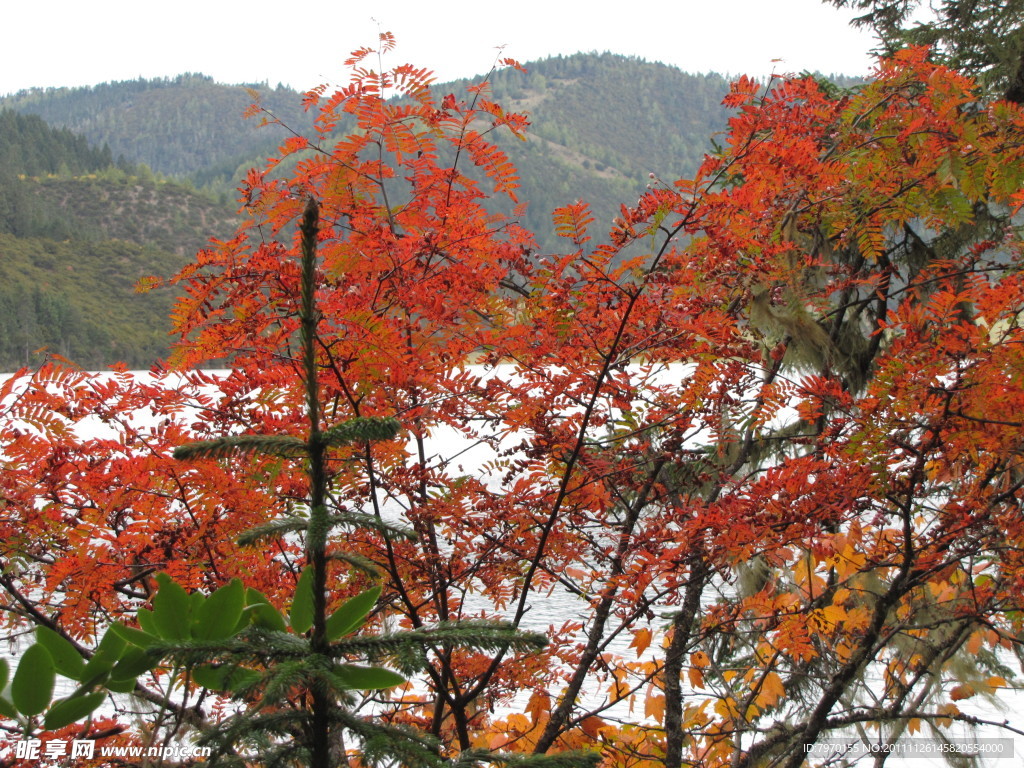 山水湖泊