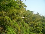 斗岩 翠竹石亭