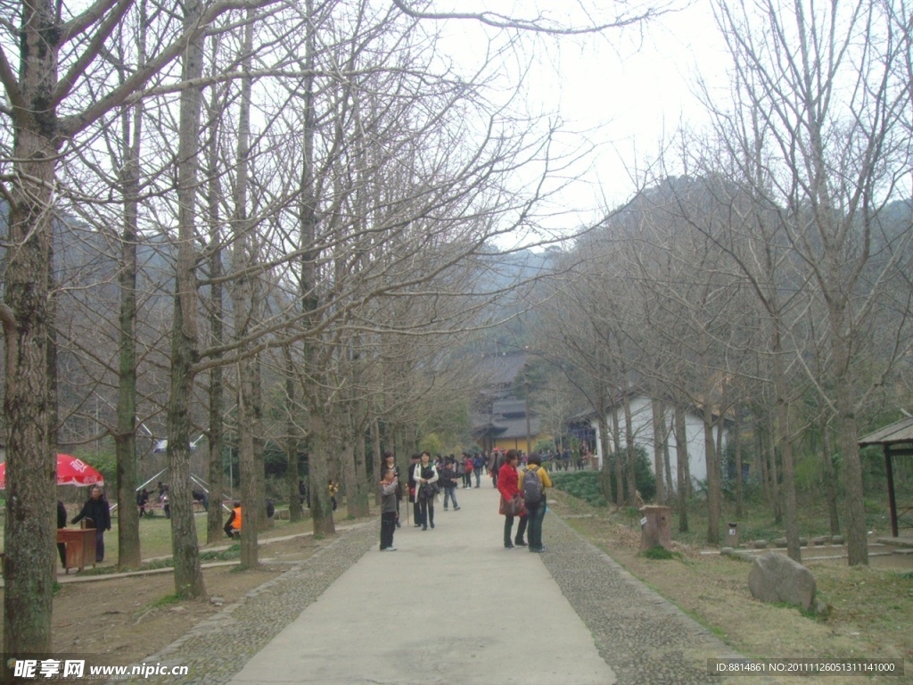 五泄山水 冬日林道