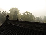 屋顶
