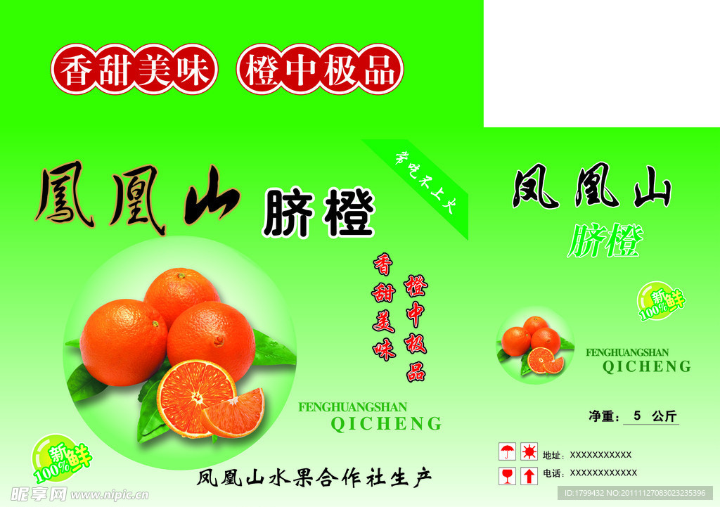 脐橙水果橙汁