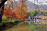 天平山红枫