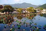 宏村