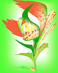 鲜花 底纹 背景 花纹