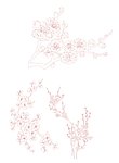 梅花
