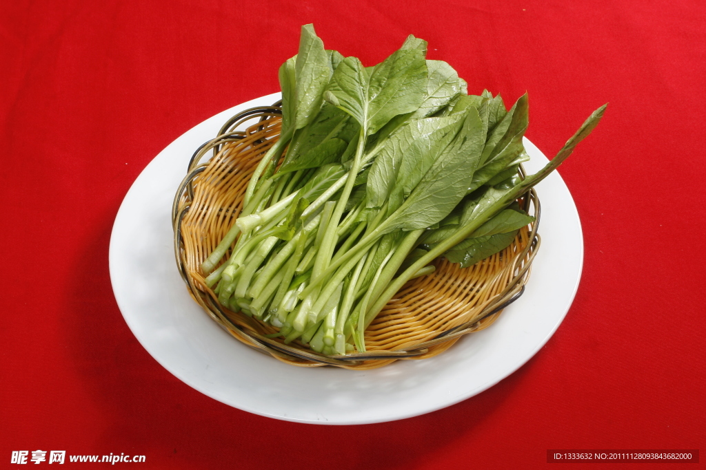 广东菜心
