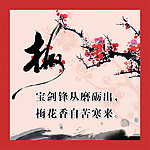 梅兰竹菊之梅