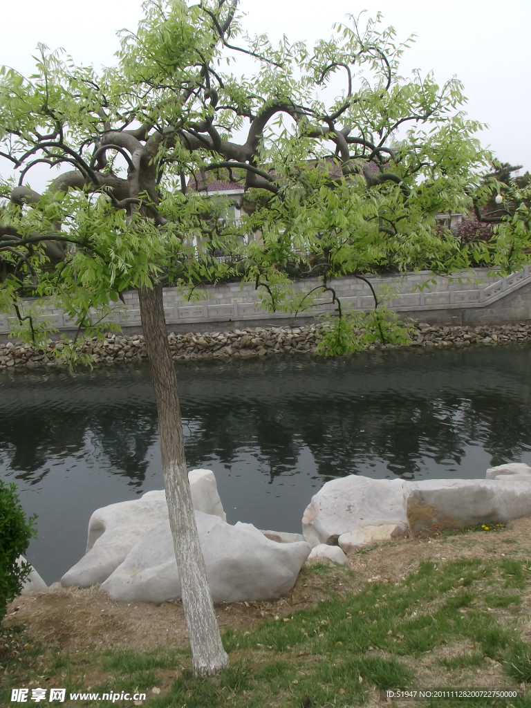 水面风景