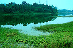 湖边风景