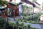 丽江风景