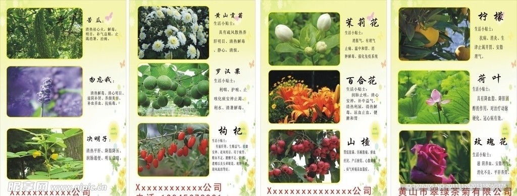 花茶功效图