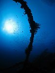 蓝色神秘海底世界