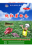 红薯粉条包装袋
