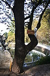 黑龙潭