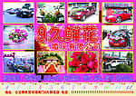 9久鲜花2012日历