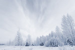 雪景山林