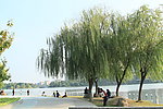 夏阳湖