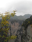 张家界美景一角