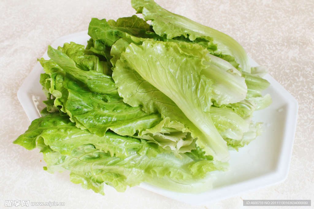 生菜