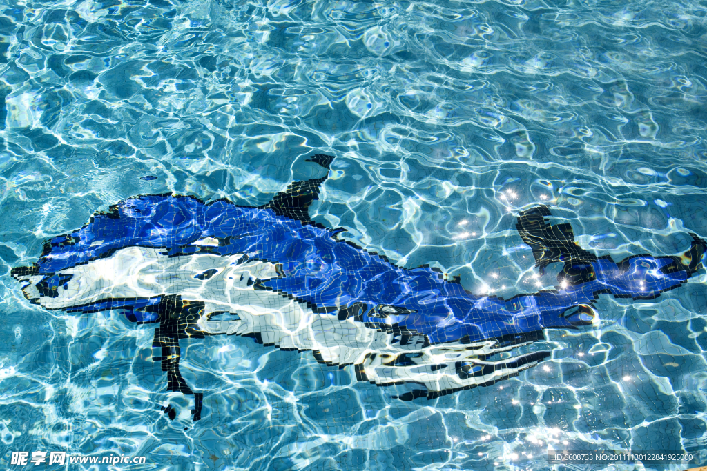 海豚图案游泳池底