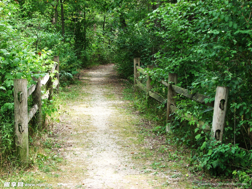 自然小路风光风景