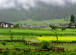 农村风光
