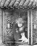 窗前
