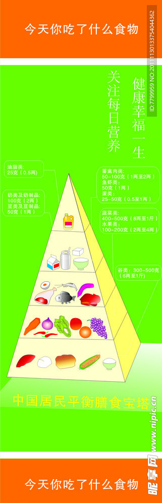 营养宝塔