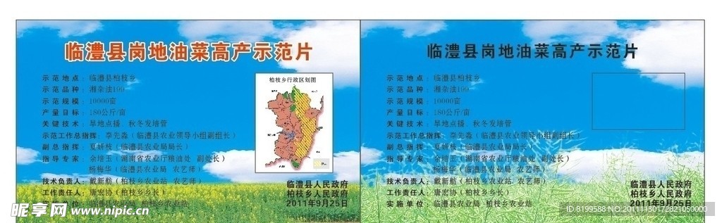 岗地油菜高产示范片
