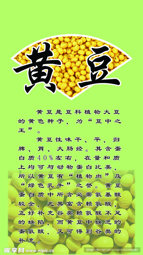 黄豆 大豆 大豆介绍