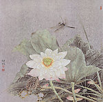 工笔荷花