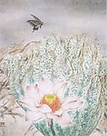 工笔荷花