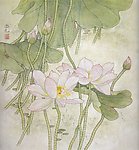 工笔荷花