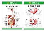 滇大医院肠胃