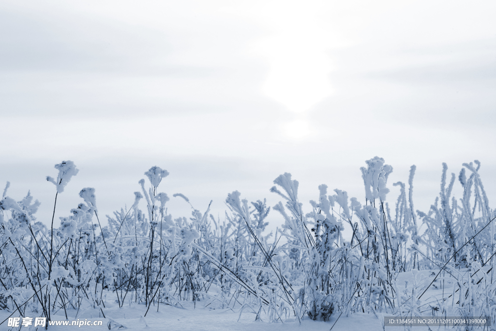 雪景