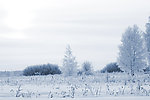 冬季雪景