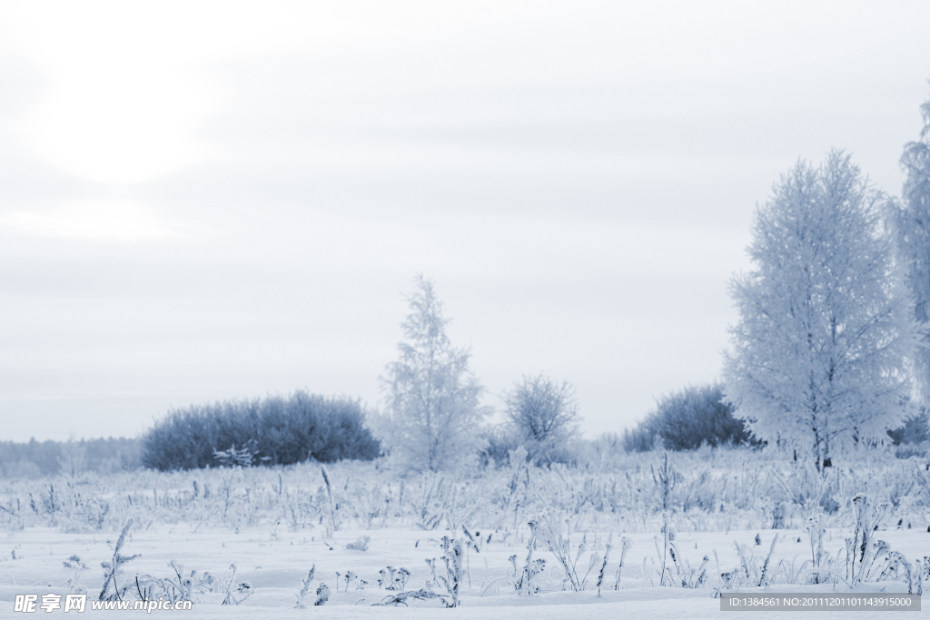 冬季雪景