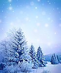 冬季雪景
