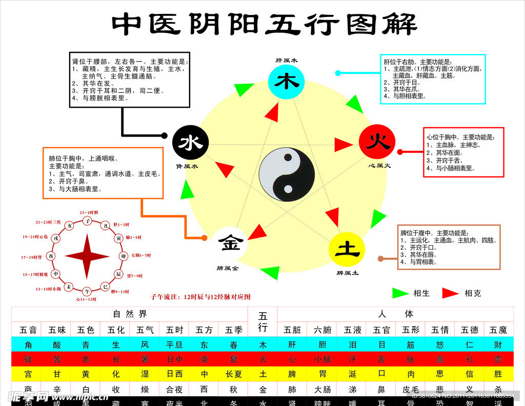 中医阴阳五行图解