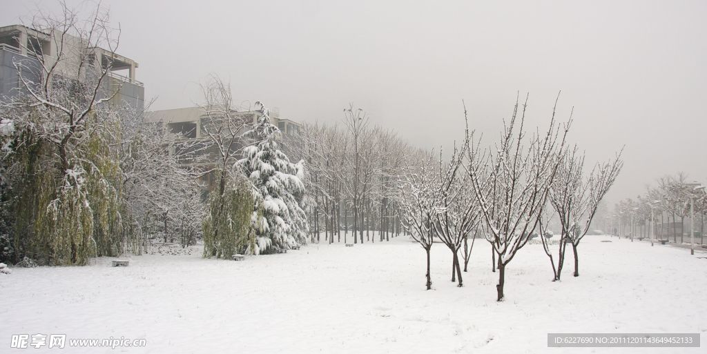 雪景
