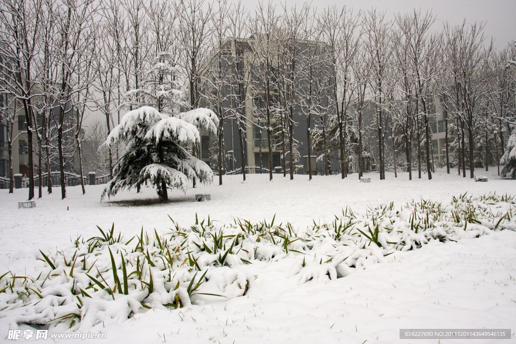 雪景