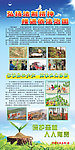 林业法制展板