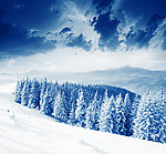 雪景