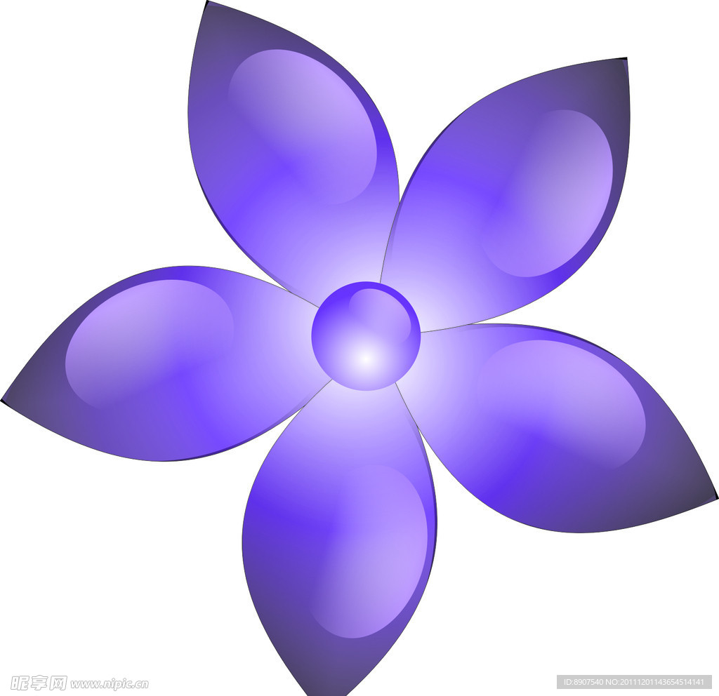 紫水晶花