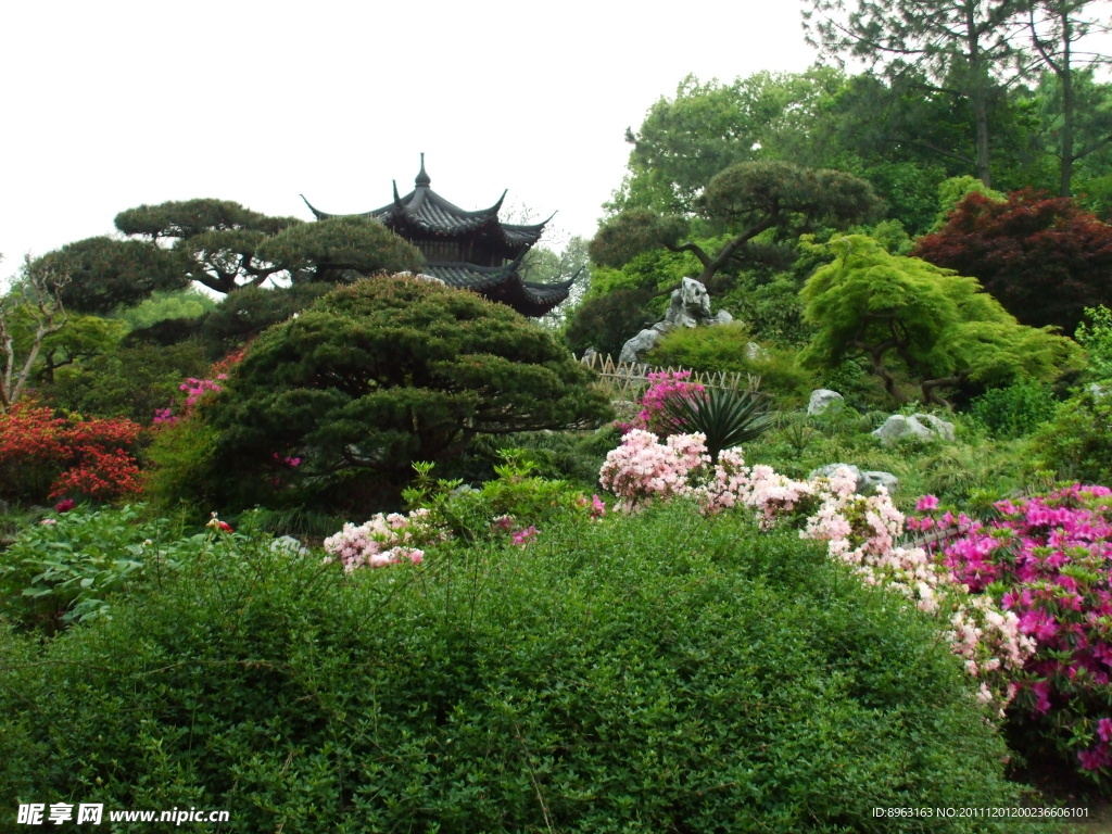 繁花似锦