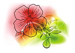 花纹